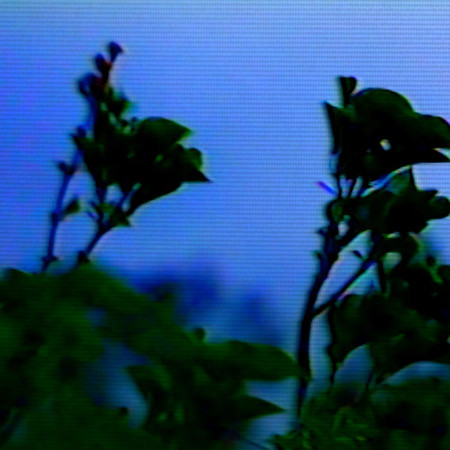 專輯封面