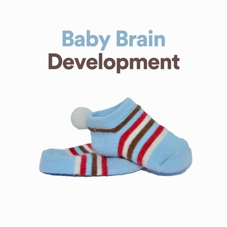 Baby Brain Development