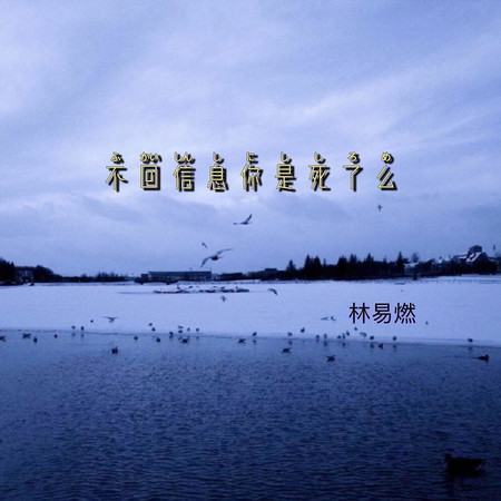 不回信息你是死了嗎