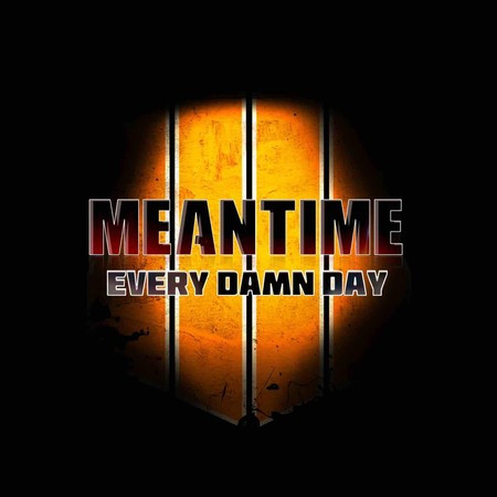 Meantime (Every Damn Day)