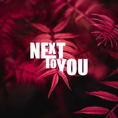 Next To You