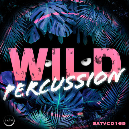 Wild Percussion