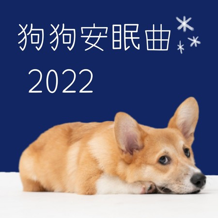 2022狗狗安眠曲 - 寵物睡眠音樂, 治癒動物的音樂, 緩解緊張