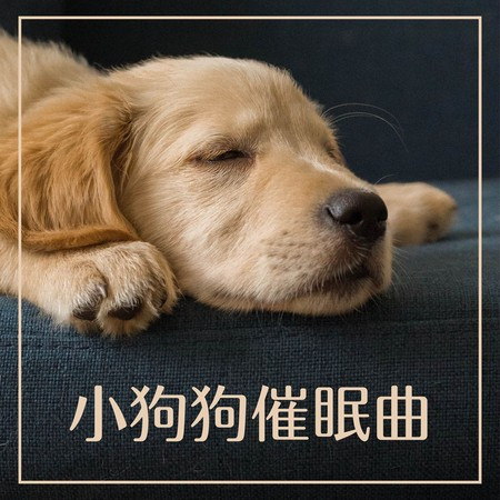 專輯封面