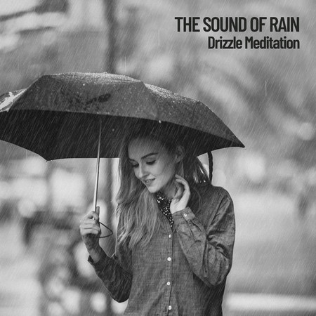 The Sound of Rain: Drizzle Meditation
