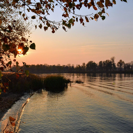 River Sounds: Cold Rivers and Streams