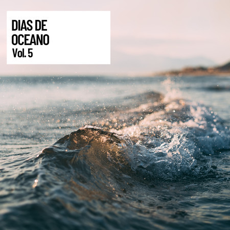 Ocean Sounds: Sea Waves Crashing