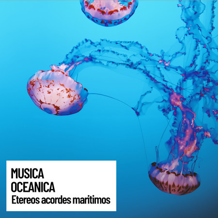 Water Sounds: Etereos acordes maritimos