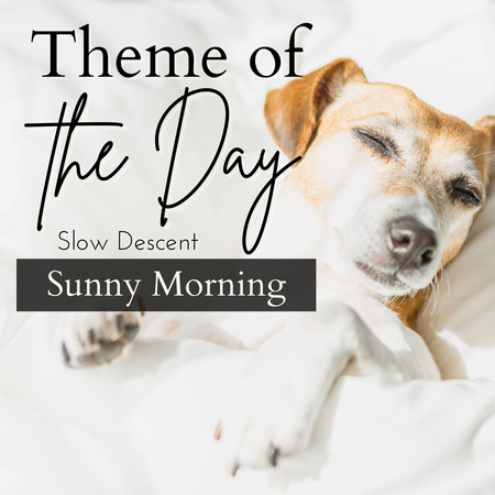 Theme of the Day - Sunny Morning