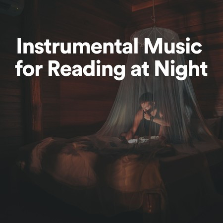 Instrumental Music for Reading at Night, Pt. 3