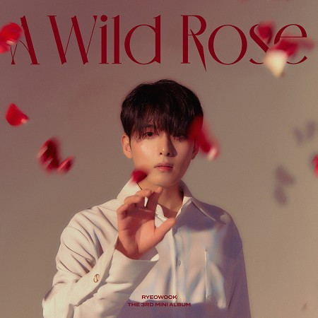 第三張迷你專輯『A Wild Rose』 專輯封面
