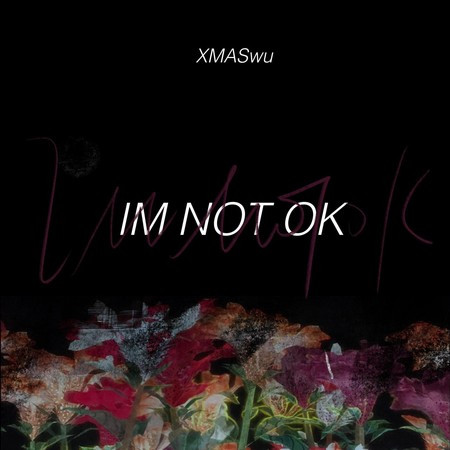 Im Not Ok 專輯封面