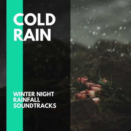 Cold Rain - Winter Night Rainfall Soundtracks