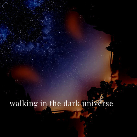 Walking in the Dark Universe