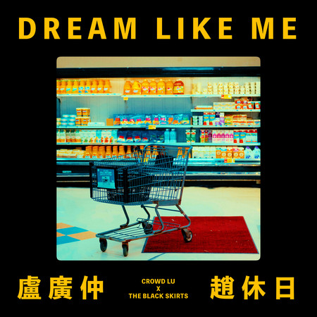 DREAM LIKE ME (feat. 趙休日 The Balck Skirts) 專輯封面