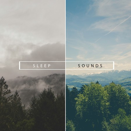 10 Sounds to Help You Sleep: Rain Water and Forest Rain for Insomnia