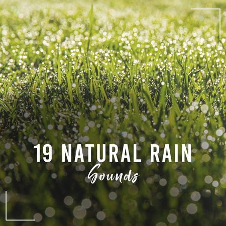 19 Natural Rain Sounds for Meditation