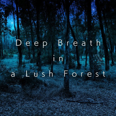Deep Breath in a Lush Forest
