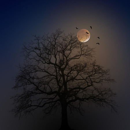 夜夜夜 (恐怖音乐)