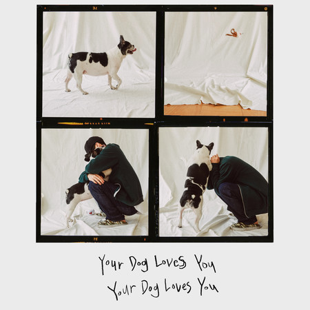 Your Dog Loves You (Feat. Crush)
