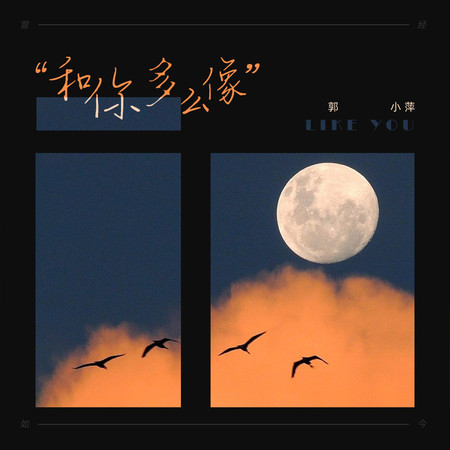 專輯封面