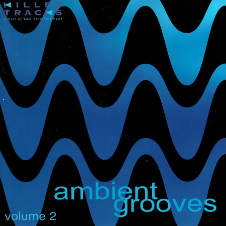 Ambient Grooves, Vol. 2
