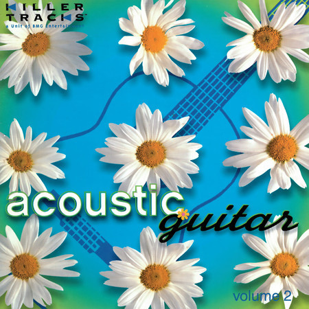 Acoustic Guitar, Vol. 2