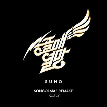 SONGOLMAE REMAKE RE:FLY 專輯封面