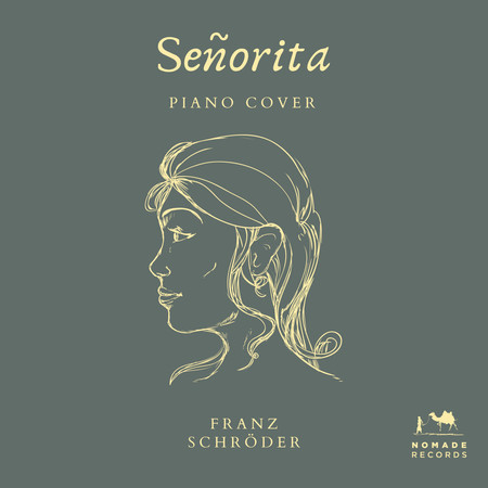 Señorita (Piano Cover)