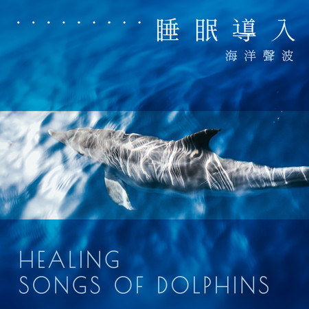 睡眠導入空靈白噪音：治癒海洋聲波 (Healing Songs of Dolphins)