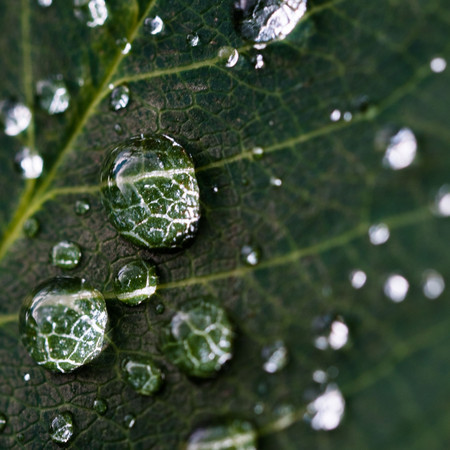 Rain Meditation