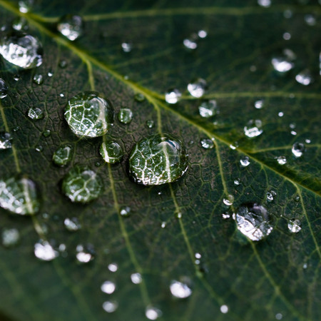 Rain Meditation