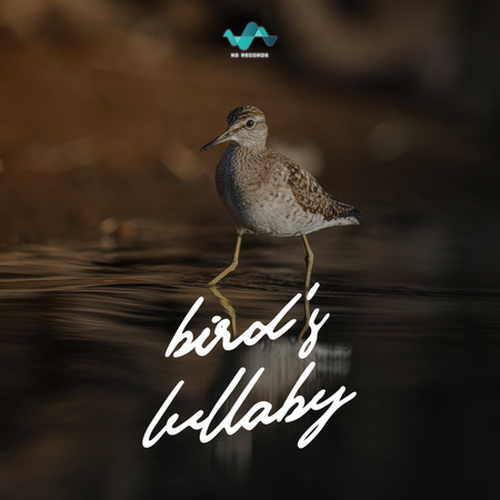 Bird's Lullaby