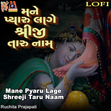 Mane Pyaru Lage Shreeji Taru Naam (Lofi)