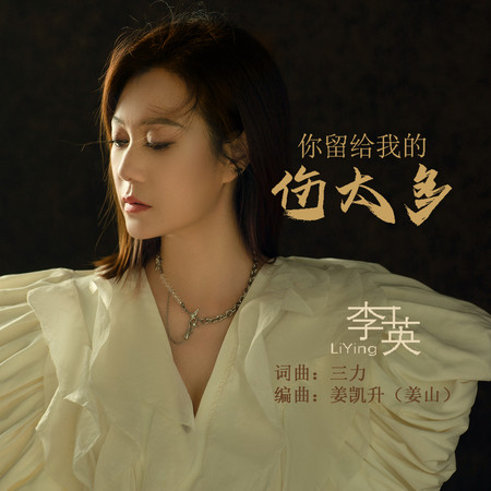 你留給我的傷太多