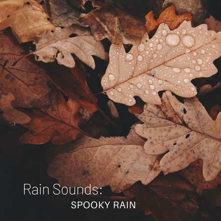 Rain Sounds: Spooky Rain