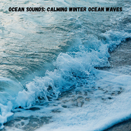 Ocean Sounds: Calming Winter Ocean Waves