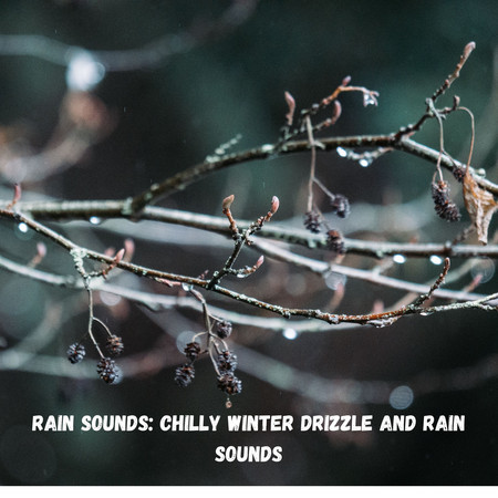 Rain Sounds: Chilly Winter Drizzle and Rain Sounds