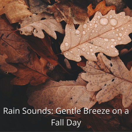 Rain Sounds: Gentle Breeze on a Fall Day