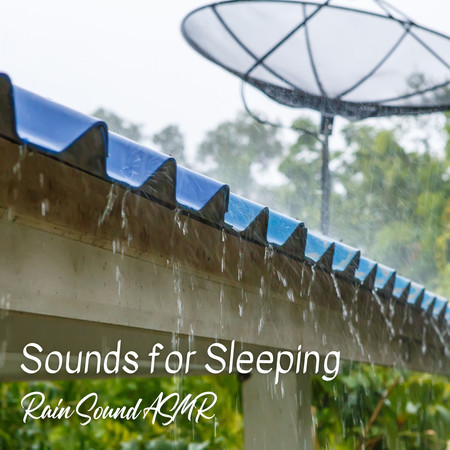 Soft Rain Sounds