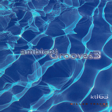 Ambient Grooves 3