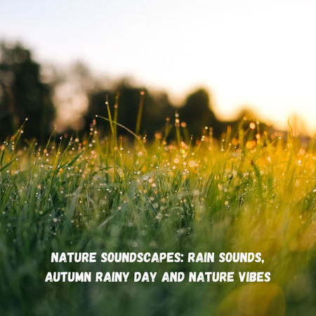 Nature Soundscapes: Rain Sounds, Autumn Rainy Day and Nature Vibes