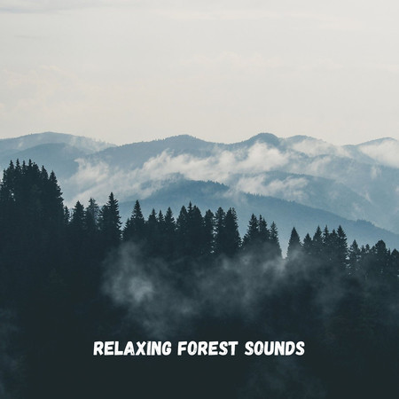 Relaxing Forest Sounds