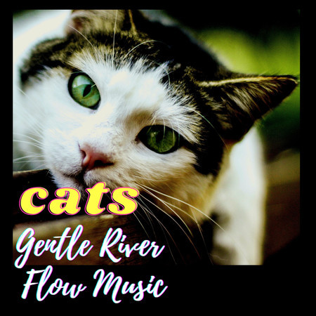 Cats: Gentle River Flow Music