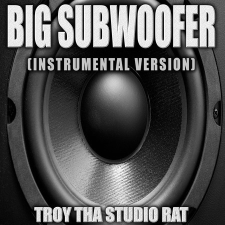 Big Subwoofer (Originally Performed by Mount Westmore) (Karaoke)