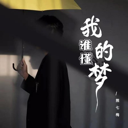誰懂我的夢