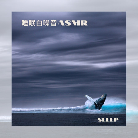 鯨魚之歌 睡眠 白噪音ASMR