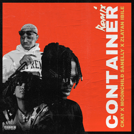 Container (feat. Moonchild Sanelly and Zlatan Ibile) (Remix) 專輯封面