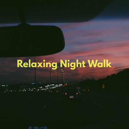 Relaxing Night Walk