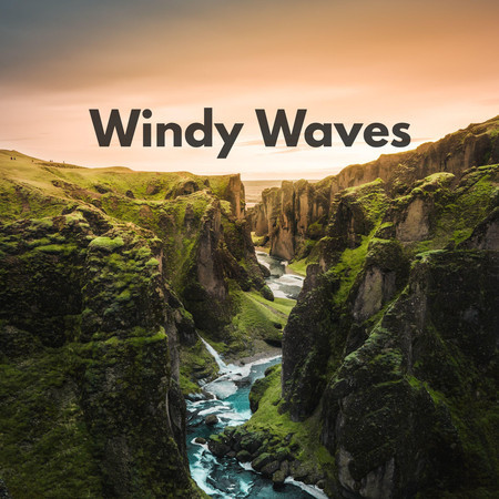Windy Waves
